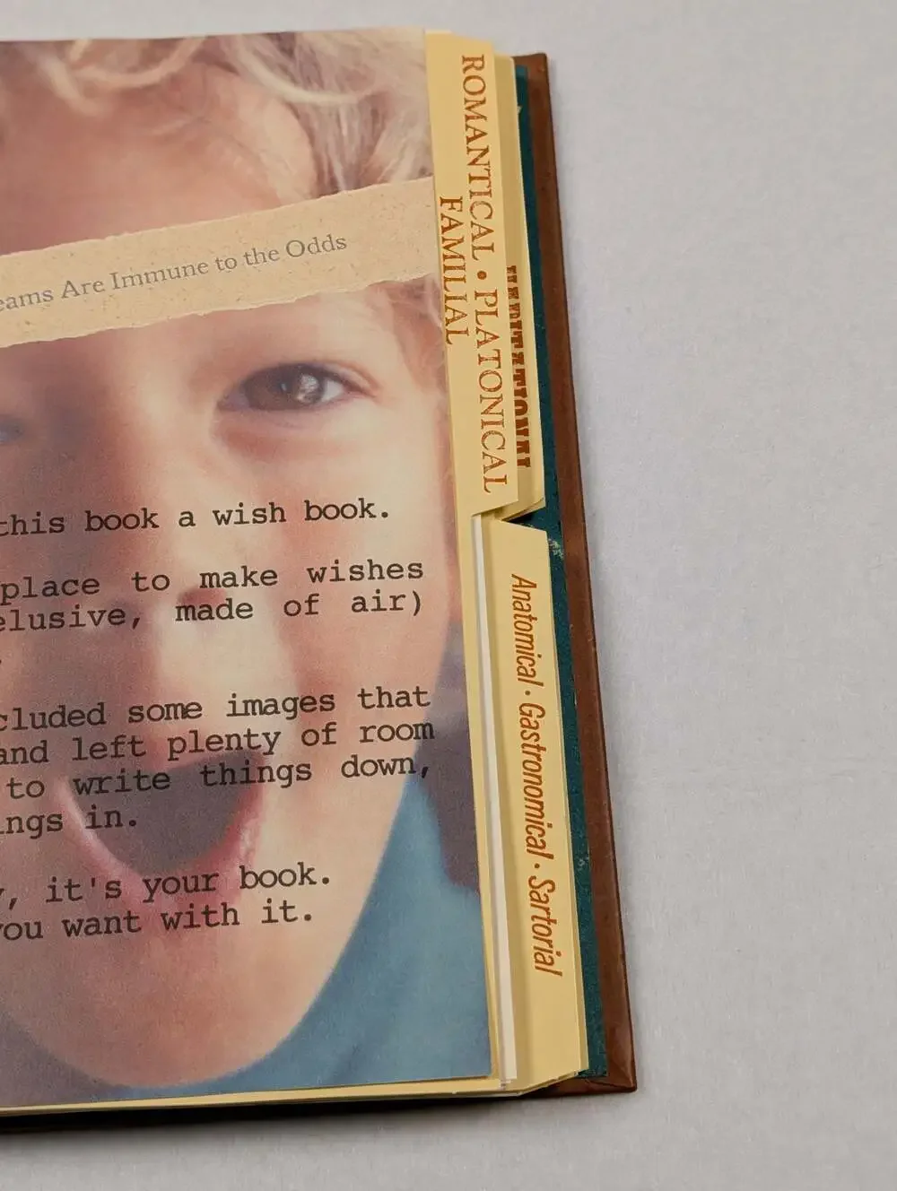 A Wish Book by Stacie Chaiken and Alexis Genya Spiral-Bound Journal